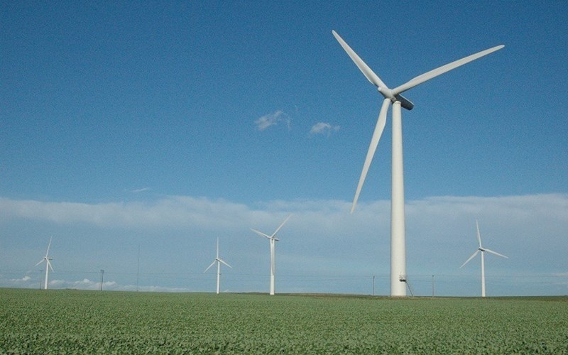 The 5 Bearings That Keep Wind Turbines Turning